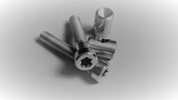 BikeYoke Revive Titanium Bolt Kit Titanium 