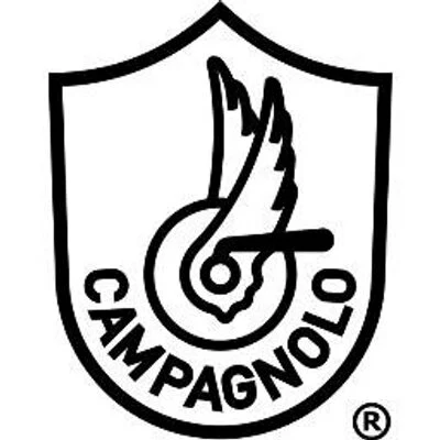 Campagnolo 2 x 44 mm Skruer Sort, 2 x 44 mm, passer til 35 - 39 mm 