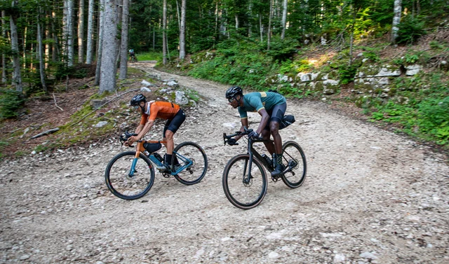 Campagnolo Ekar Skivebremssett Venstre, Hendel + kalipper med olje 