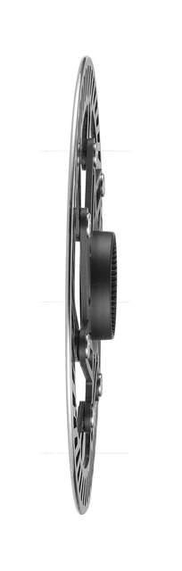 Campagnolo Ekar Bromsskiva 160 mm 