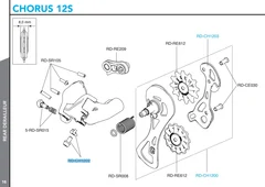 Campagnolo Bakgir Girwire Festeskrue Chorus 12s