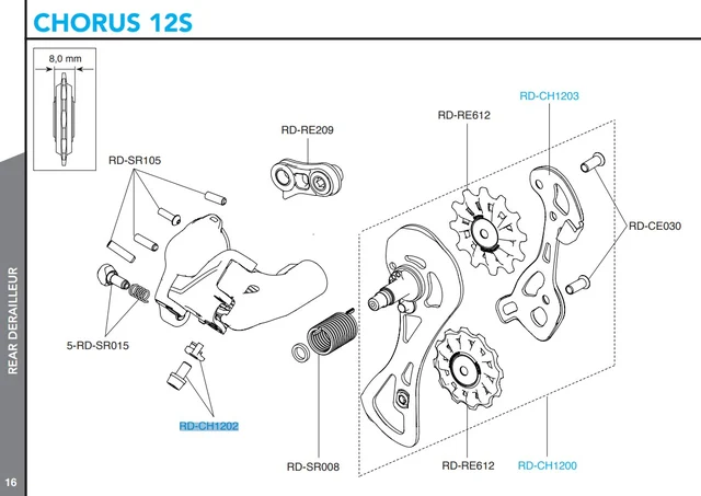 Campagnolo Bakgir Girwire Festeskrue Chorus 12s 