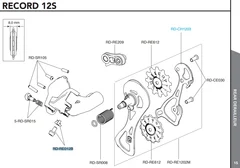 Campagnolo Bakgir Girwire Festeskrue Record 12s