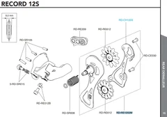 Campagnolo Bakgir Komplett Cage Medium, Record 12s