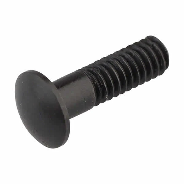 Campagnolo Nipple insert Magnet För Bullet 