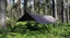 DD Hammocks Tarp XL Coyote Brown, 4,5x3 m