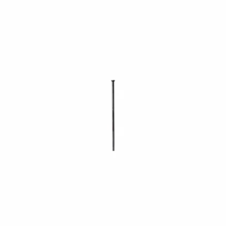 DT Swiss Aerolite SP Rette Eike 10 stk 260mm, 2.0/2.3x0.9mm, 10 stk