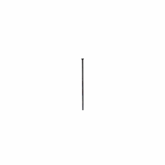 DT Swiss Aerolite SP Rette Eike 10 stk 260mm, 2.0/2.3x0.9mm, 10 stk 