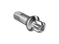 DT Swiss DT Squorx Pro Head Eikenippel S&#248;lv, 100 stk, Alu, Prolock 15 mm