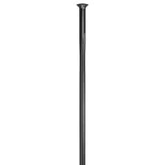 DT Swiss Aerolite Eiker 20 stk 306mm