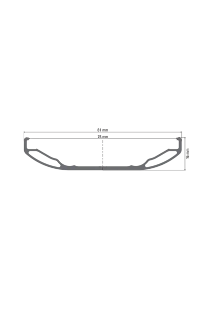 DT Swiss BR 2250 Classic 26" Bakhjul Svart, 12x197 mm, För Fatbike, 1180g 