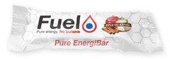 Fuel Of Norway EnergiBar Äpple, 40g