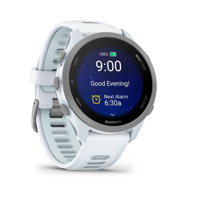 Garmin Forerunner 170 GPS Klokke Whitestone/Cloud Blue 