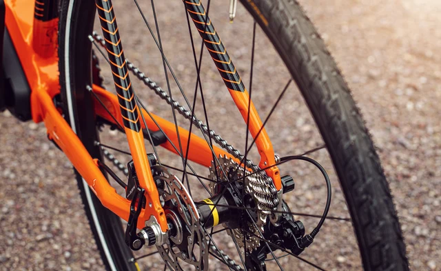 Gavia eTerra Gravelbike M 