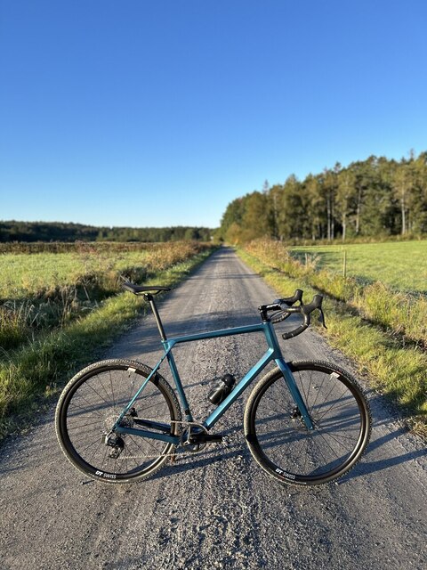 Gavia Terra LTD Carbon Gravelbike Str. L/52 cm 