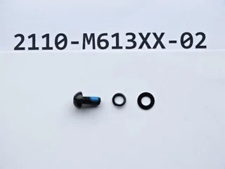 Giant E Yamaha Pro Motorbolt M6 x 1.0 x 13 mm w/Washer