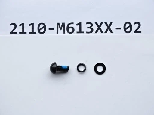 Giant E Yamaha Pro Motorbolt M6 x 1.0 x 13 mm w/Washer 