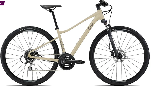 Liv Rove 3 Hybridsykkel Pulp Gray, Str. S 