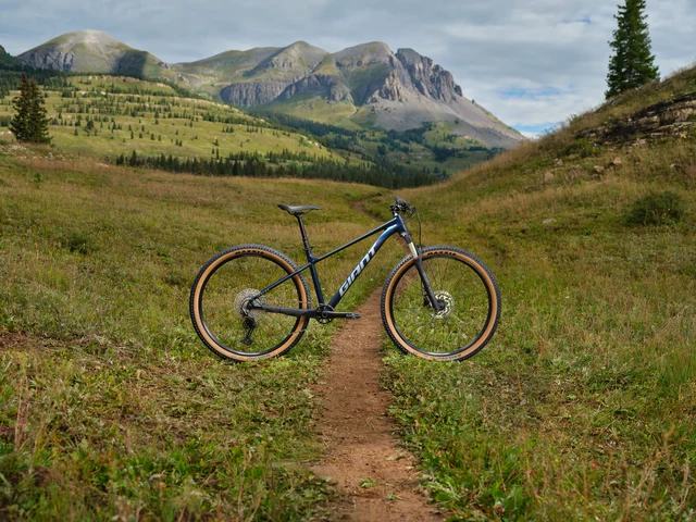 Giant Talon 0 29" Terrengsykkel Ultra Navy, Str. M 