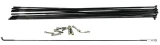 Mavic 282mm Aksium Eiker 10 stk, Framhjul/Venstreside bak