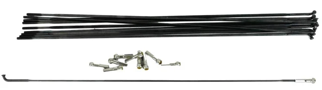 Mavic 282mm Aksium Eiker 10 stk, Framhjul/Venstreside bak 