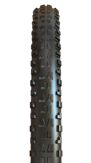 Maxxis Minion DHF TR EXO+ 29" Dekk 3C - Bikeshop.no