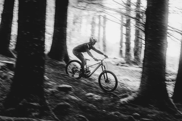 Mondraker Zendit XR Elsykkel Large 