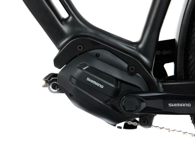 Multicycle Solo EMS Elcykel Sort, Str. H57 