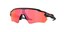 Oakley Radar EV Path Glasögon Ascend/Prizm Trail Torch