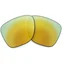 Oakley Frogskins Lins 24K Iridium Polarized