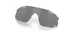 Oakley Cybr Dyno Linse Prizm Black