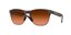 Oakley Frogskins Lite Glasögon Matte Brown Tortoise, Prizm Brown Grad.