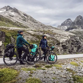Ortlieb Rack-Pack V&#228;ska Olive, 31L. Tillegsv&#228;ska til Packv&#228;skar