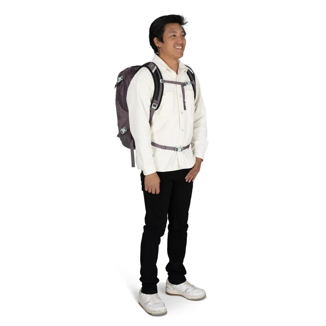 Osprey Nebula 32 Ryggsekk Graphite-Purple Heather, Str. OS 