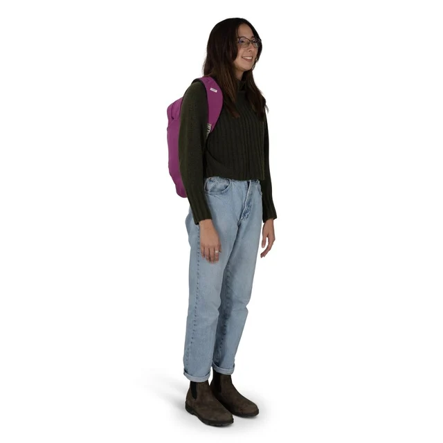 Osprey Arcane Large Day Sekk Shiso Purple Heather, Str. OS 