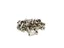 Sapim Brass Polyax 2 x 12 mm Nippler S&#248;lv, 100 stk