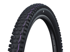 Schwalbe Albert Gravity Pro 29" Däck 29"x2.50, Evolution Radial, TLE, 1330g