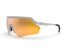 Spektrum Blankster RAW Brille Undyed, Gold Bio linse, 30 g