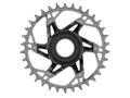 SRAM XX Eagle T-Type Bosch Drev Silver, 34-36T, DM