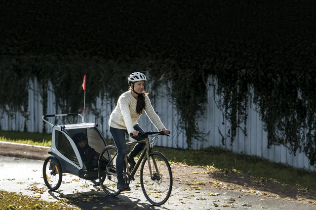 Thule Coaster XT Sykkelvogn Blue 