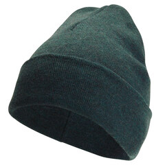 Woolpower Classic Mössa Forest Green, Str. Onesize