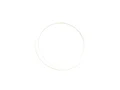 Zipp 177 Rearhub Freehub Shim &#216;19.6/17x0,5 mm
